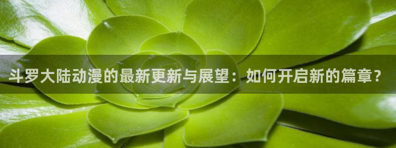 58动漫app：斗罗大陆动漫的最新更新与展望：如何开启新的篇章？