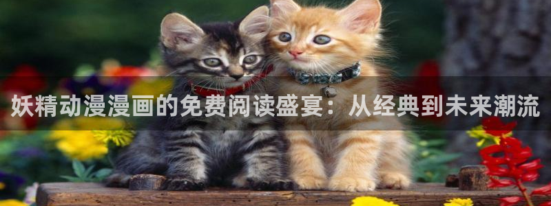 58动漫网站免费看：妖精动漫漫画的免费阅读盛宴：从经典到未来潮流