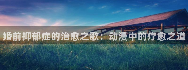 58动漫 官网：婚前抑郁症的治愈之歌：动漫中的疗愈之道
