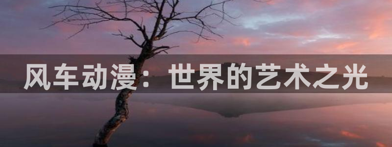 58动漫网app：风车动漫：世界的艺术之光