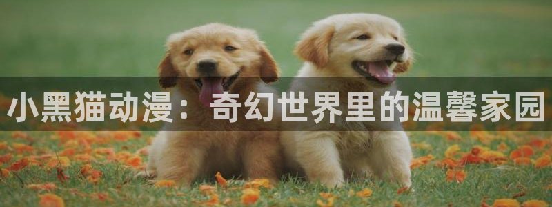 58动漫网站入口免费阅读漫画特点：小黑猫动漫：奇幻世界里的温馨家园