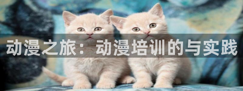 58动漫网站入口免费阅读漫画特点：动漫之旅：动漫培训的与实践