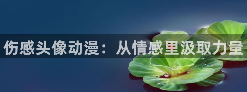 58动漫.：伤感头像动漫：从情感里汲取力量